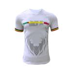 Personalized Polyester Football Jerseys Strong Plasticity Custom Designs