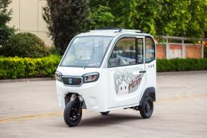 Quality 800W Passenger Electric Tricycle Adults Passenger 3 Wheel Electric Tricycle wholesale