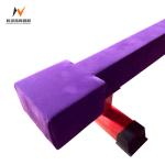 Gym Outdoor Garden Fun Games Long Short Waterproof Exercise Balance Beam Gym Fun