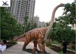 Handmade High Simulation Outdoor Dinosaur Models Flapping Wings Snowproof