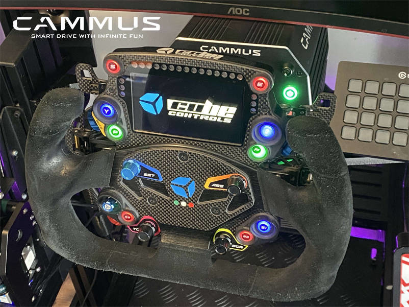 Cammus Anti Theft Racing Game Simulator Direct Drive With Servo Motor