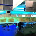 Stainless Steel Belt Conveyor System Automatic Food Grade Cooling Conveyor
