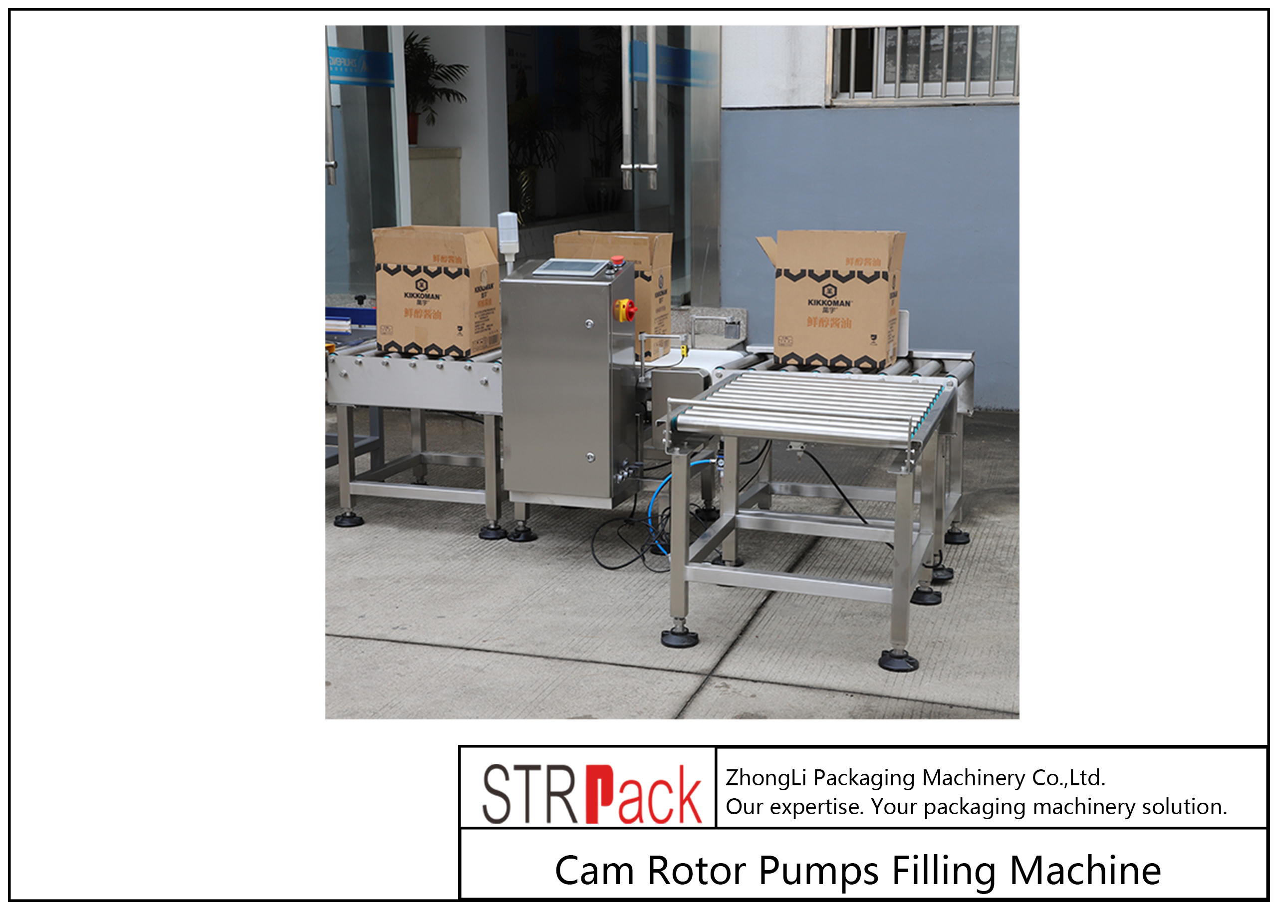 PLC Touch Screen Control Case Packer Machine Pick And Place Type