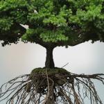 Anti UV Vertical Greening Artificial Simulated Plant Decor Suspended Space