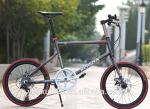 Aluminum 190cm 7 Speed 24 Inch Wheel Electric Bike