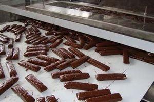 Quality Chocolate Enrober Machine wholesale