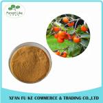 Natural Persimmon Leaf Extract Powder 10:1 20:1