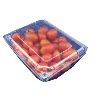 Quality Eco Friendly Disposable PET Fruit Plastic Packaging Boxes OEM wholesale