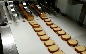 Quality ABB Motor Cake Rusk And Drying Cake Loaf Cake Friut Cake Production Equipment wholesale