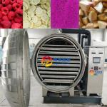 Fruit and Vegetable Meat Vacuum Freeze Drying Equipment for Pet Food 10kg per