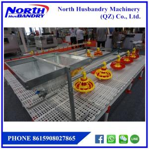 Quality Poultry farming equipment for professional farmers wholesale