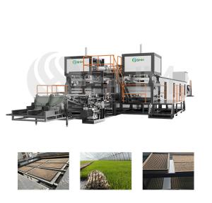 Quality Paper Nursery Tray Making Machine Full Automatic Pulp Molding Production Line wholesale