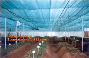 China agriculture anti insect net on roll insect proof mesh for greenhouse,Greenhouse Anti Insect Netting /Agriculture Netting on sale