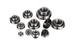Original Wanrui Housing UC205 Agricultural Machinery Bearing in Europe America