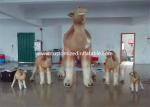 Customized Cartoon Shape Inflatable Camel Animal Model For Event Party