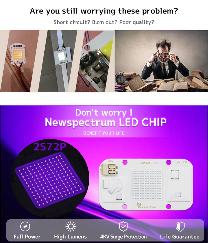 50W 395nm UV LED Chips 110V 220V High Lumen No Flicker Energy Saving