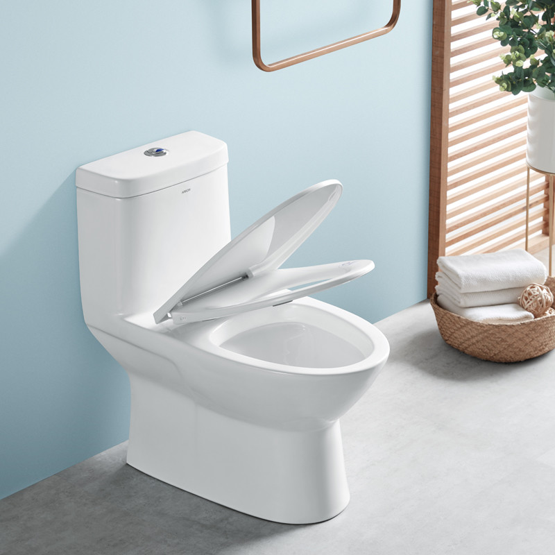 5L Single Piece Commode White Dual Flush Elongated Standard Height