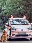 Changan Benben E-Star Electric Car 2023 Model 5 Door 5 Seats Pure Electric 75HP