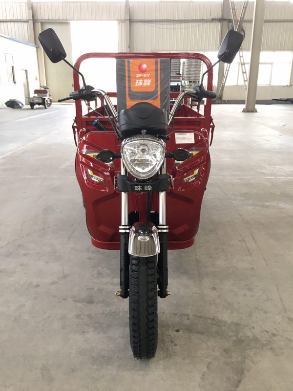 Pedal 1.0m*3.1m 110cc 3 Wheel Trike Moped