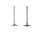Deutz TCD2012 Intake Exhaust Valves D6e Engine 04285985 04285986