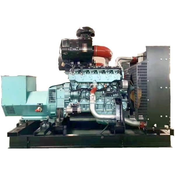 312.5KVA Biogas CNG Power Genset Plant Coal Natural Gas Generator 250kw in