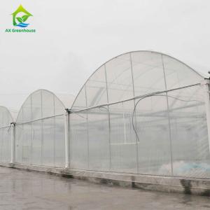 Quality UV Resistant Plastic Film Greenhouse wholesale