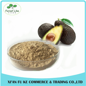 High Quality Avocado Spray-Dried Fruit Instant Powder Avocado Fruit Extract