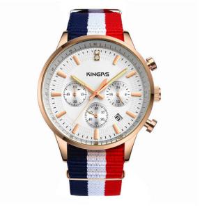 Quality Fashionable Custom Stainless Steel Watches With Interchangeable Nylon Strap wholesale