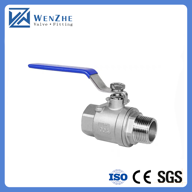 DN8 Female Threaded Manual Control Ball Valve for Stainless Steel 301/304/316 Pipes