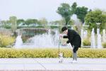 5 Foot 4 Foot Anti Pull Dog Leash