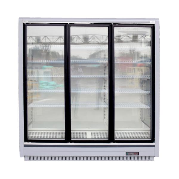 Supermarket Commercial Display Freezer With Glass Door , Carel Digital