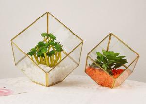 Quality Micro landscape glass artifact cover display box house succulent plant eternal flower box kids gift wholesale wholesale