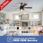 Downrod Mount Remote Control Cage Ceiling Fan 20in With Light