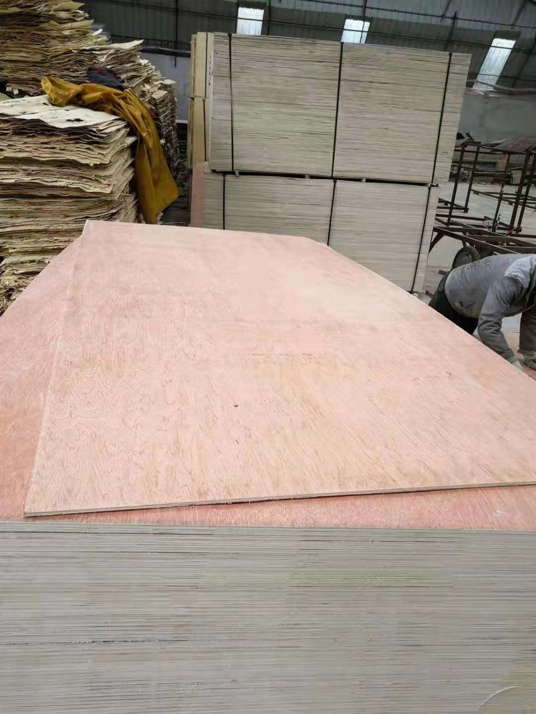 Apartment Bintangor Core 7 Ply Greenpanel Plywood