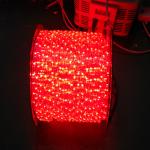 led rope light rgb 220V/110V