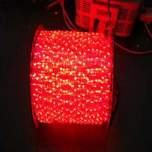 Quality 110V /220V led rope light wholesale