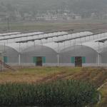 Hydroponic Complete Thailand Multi Span Greenhouse Side Ventilation Industrial