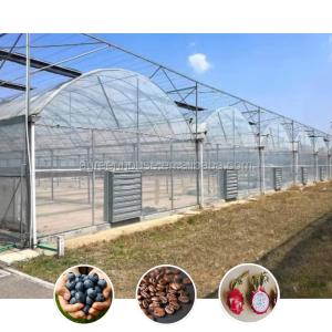 Quality Hot Sale Poly Tunnel Agricultural Multi-span Plastic Film Blueberry Greenhouse wholesale