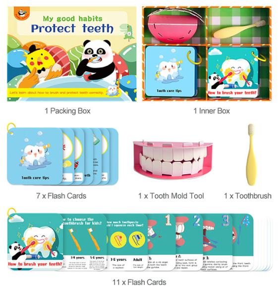 Stimulation Right Brain Training Flash Cards , Brush Teeth Preschool Learning