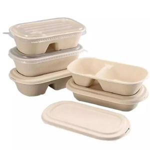 Quality Hotel Biodegradable Compostable Sugarcane Container 100C Fast Food Takeaway Packaging wholesale