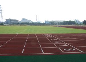 Quality Not Crack Anti - Wet Artifical Turf Athletic Field For Runway, Garden, Balcony GPE-10-20 wholesale