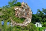 Realistic Complete Dinosaur Fossil , Simulation Full Dinosaur Skeleton