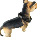 40 Inch 32 Inch Cute Dog Collars 30cm 75cm X Xs Xl Personalized Dog Collar