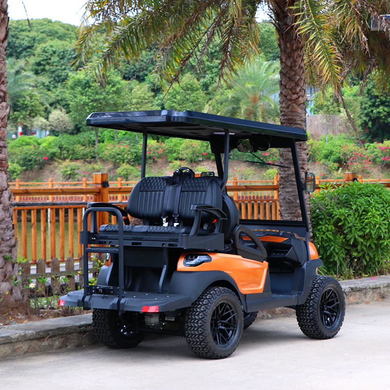 2+2 Seater Lifted Electric Golf Cart For Hilly Landscapes