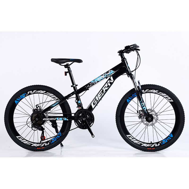 Affordable Mountain Bicycle with Sus Fokr Cp Crown and Tongli Michanical Disc Brake