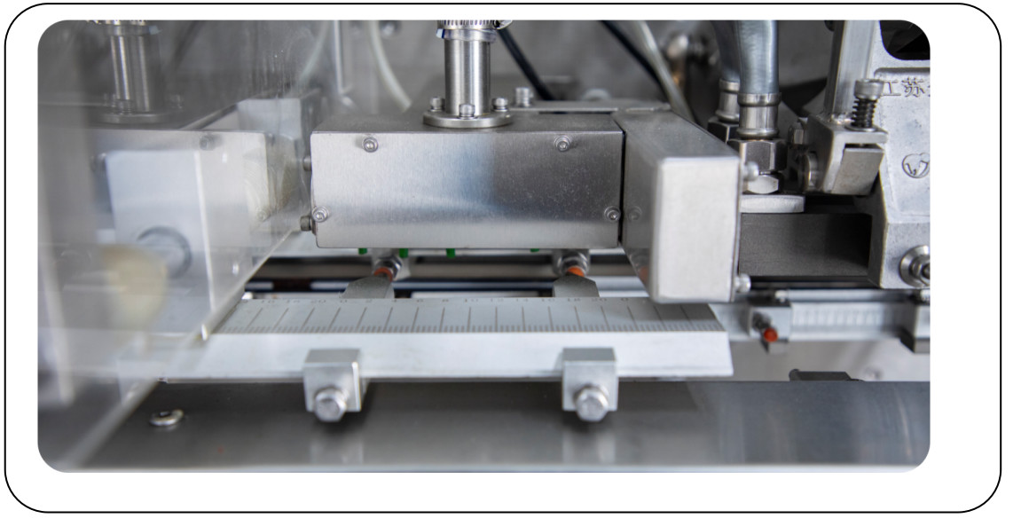 Agricultural Chemical DGD-180BJ Fully Automatic Horizontal Bag Packing Machine