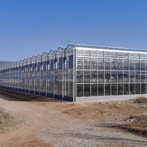 Quality Insulated Tempered Glass Greenhouse Sunlight Venlo Greenhouse For Horticulture wholesale