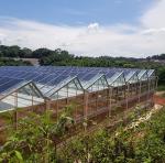 Innovative Single/Multi Span Photovoltaic Commercial Greenhouses for Sustainable