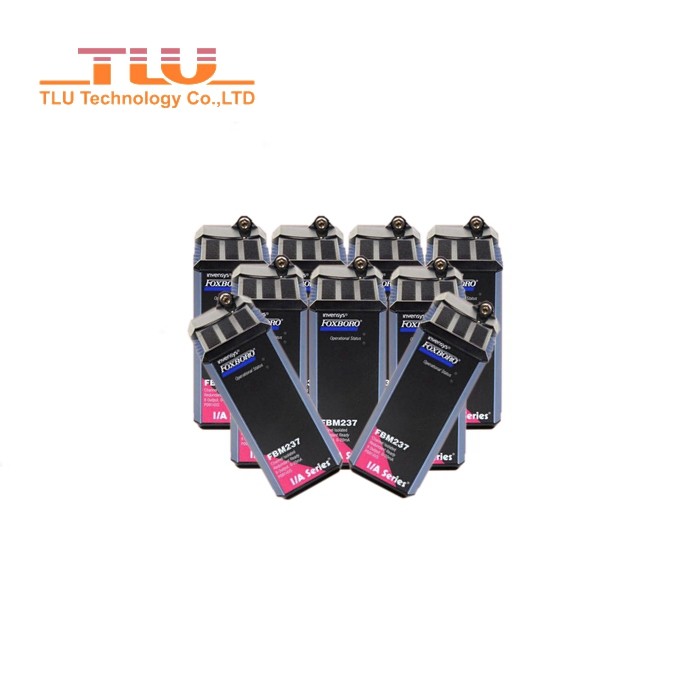 Foxboro FBM Modules 0303393 100% New Original