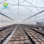 Plastic Polytunnel Plastic Film Hot House Serre Agricole Agricultural Tunnel